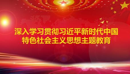 深入學(xué)習貫徹習近平新時(shí)代中國特色社會(huì )主義思想主題教育